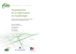 Transmission de la tuberculose en Guadeloupe