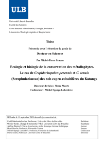 thèse MP Faucon pdf