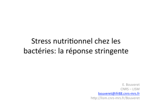 Stress nutri^onnel chez les bactéries: la réponse stringente