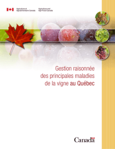 Gestion raisonnée des principales maladies de la vigne au Québec