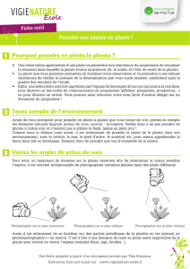 Pourquoi prendre en photo la plante ? Tenez compte de l