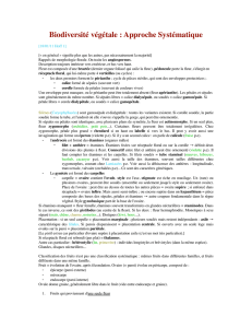 Prises de notes de cours de Guillou Stéphane