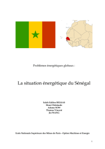 1. Problèmes Energétiques Globaux (PEG) du Sénégal, 2007