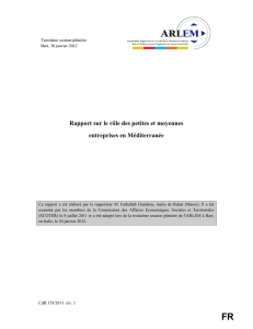 Rapport sur le rôle des petites et moyennes entreprises