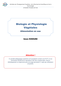 Biologie et Physiologie Végétales