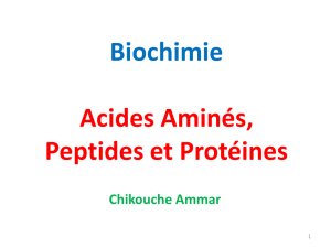 Biochimie Acides Aminés, Peptides et Protéines