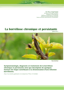 La borréliose chronique et persistante