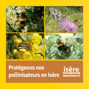 Protégeons nos pollinisateurs en Isère