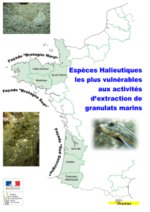 Espèces halieutiques les plus vulnérables aux activités d