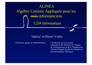 Algèbre Linéaire Appliquée - Bioinformatique théorique, Fouille de