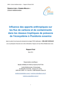 Rapport - OHM Littoral méditerranéen