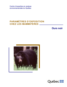 Paramètres d`exposition chez les mammifères – Ours noir. Fiche