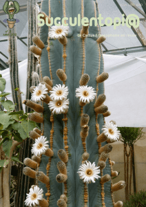 Succulentopia n°2 - Au Cactus Francophone