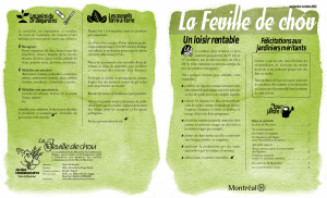 Feuille de chou base