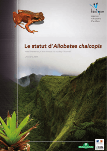 Allobates chalcopis - Patrimoine mondial