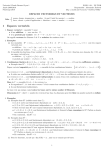 1 Espaces vectoriels - Licence de mathématiques Lyon 1