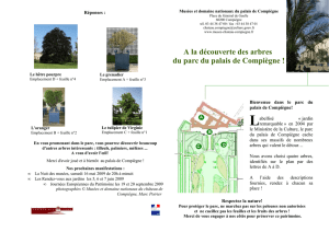 A la découverte des arbres du parc du palais de Compiègne !