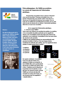 Fiche pédagogique : De l`ADN aux protéines. Les secrets de l