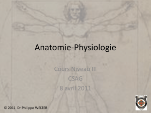 Anatomie-Physiologie