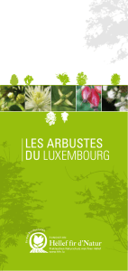 LES ARBUSTES DU LUXEMBOURG