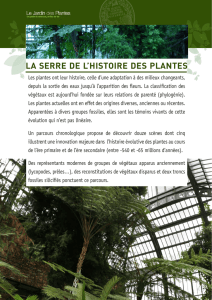 [Fiche pratique] Plan et cartels de la serre de l`Histoire des plantes