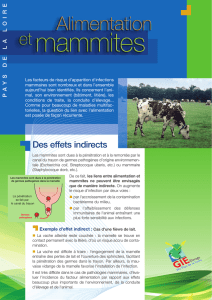 Bovins lait - Les mammites, j`anticipe!