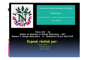 Plasmides Vecteurs de clonage - Faculté des Sciences de Rabat