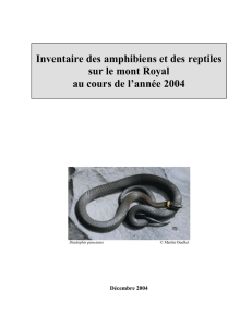 Inventaire des amphibiens et des reptiles sur le