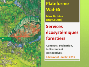 Les services écosystémiques forestiers
