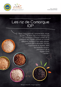 Les riz de Camargue IGP