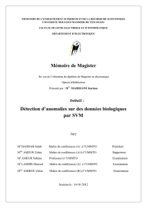Mémoire de Magister Détection d`anomalies sur des
