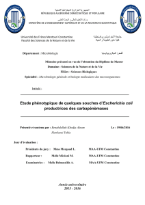 145- Etude phénotypique de quelques souches d`Escherichia coli