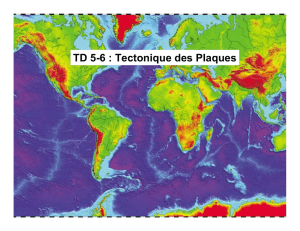 TD 5-6 : Tectonique des Plaques