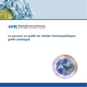 Le parcours en greffe de cellules hématopoïétiques : greffe autologue