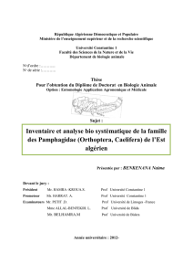 Inventaire et analyse bio systématique de la famille des Pamphagidae