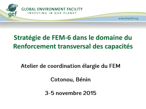 Stratégie de FEM-6 dans le domaine du Renforcement transversal