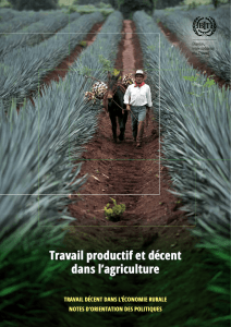 Travail productif et décent dans l`agriculture