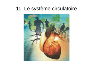 11. Le système circulatoire