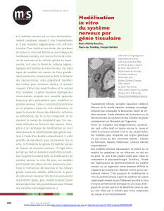 Mod&eacute;lisation in vitro du syst&egrave;me nerveux par g&eacute;nie - iPubli