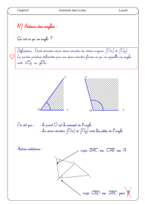 Chapitre5 Géométrie dans le plan Leçon4 IV) Autour des angles : x