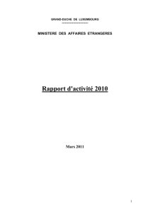 Rapport d`activité 2010 du ministère des Affaires