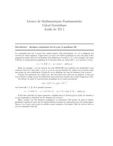 Licence de Mathématiques Fondamentales Calcul Scientifique