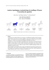 Analyse topologique et géométrique de maillages 3D pour l