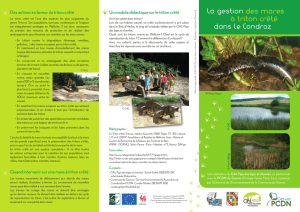 Brochure triton - La Commune de Gesves
