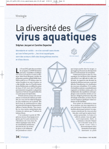 La diversité des