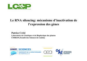 Le RNA silencing: mécanisme d`inactivation de l