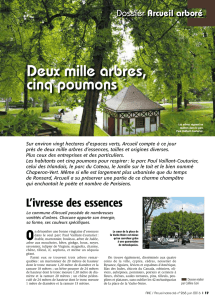 Deux mille arbres, cinq poumons