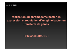 réplication du chromosome bactérien expression et régulation d`un