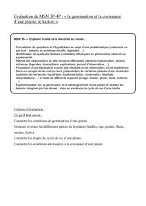 evaluation_germination_4p (1.04 Mo)