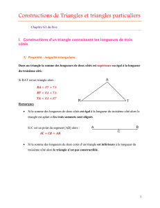 Constructions de triangles et triangles particuliers